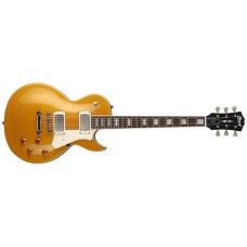 CORT CR200GT ELEKTRO GİTAR, GOLD TOP, (H-H)
