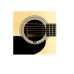 PLANETWAVES PWCT15 SOUNDHOLE TUNER
